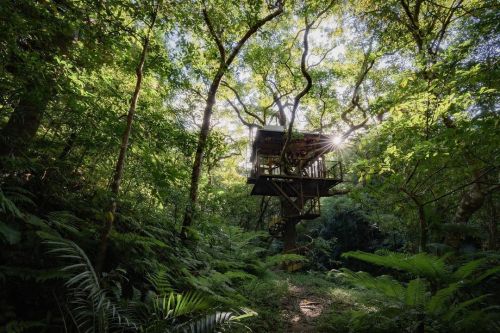 utwo:Treeful Treehouse Sustainable Resort Nago Okinawa Japan© treeful treehouse