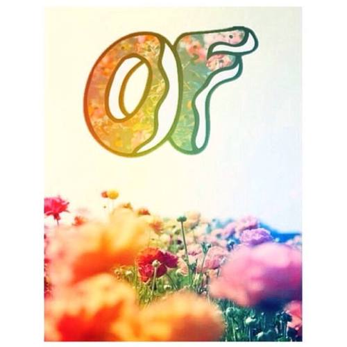 fvckaysh.tumblr.com/post/83307528082/