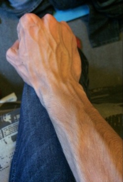 nuts4veins:  vsmx:  MuscleVision Archive: http://vsmx.tumblr.com/archive   Unknown