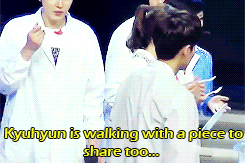 lee-donghais:   Evil Maknae Kyuhyun did not want to share their piece of watermelon. 
