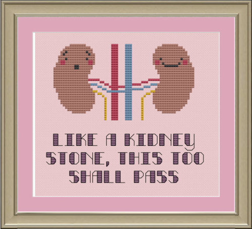silverstars87: nightdutynurse: Where can I get the patterns for these!! I want the kidney one!