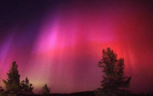 Aurora Boreal