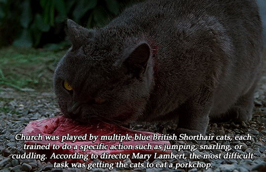 Mary Lambert - News - IMDb