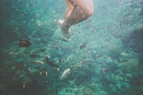 man-and-camera: Indonesian Ocean -> Luke Gram Instagram: @lukegram