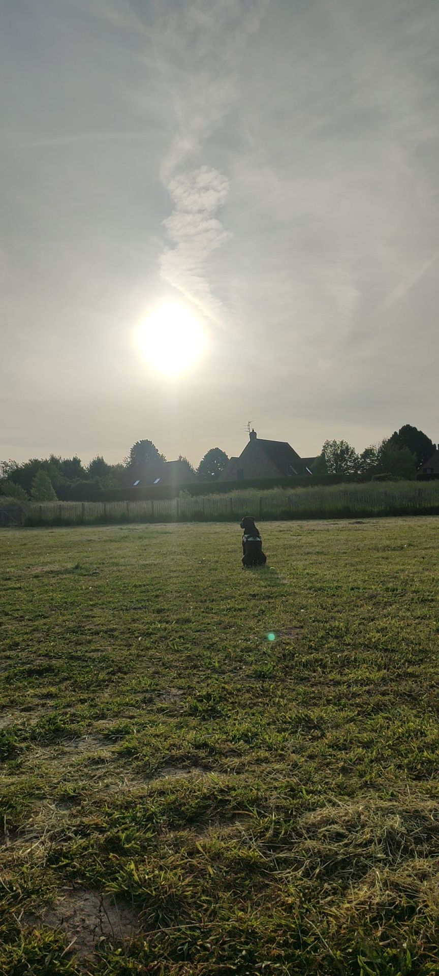 Sometimes The Best Thing In The World Is Just To Enjoy The Countryside With My Dog... 