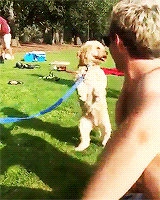 craicthatniall:  niall + shirtless 