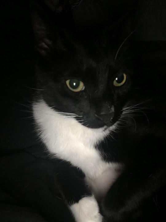 sneakyfeets:  sneakyfeets:   Me, plunking Stinky Bastard Man’s carrier on the counter: