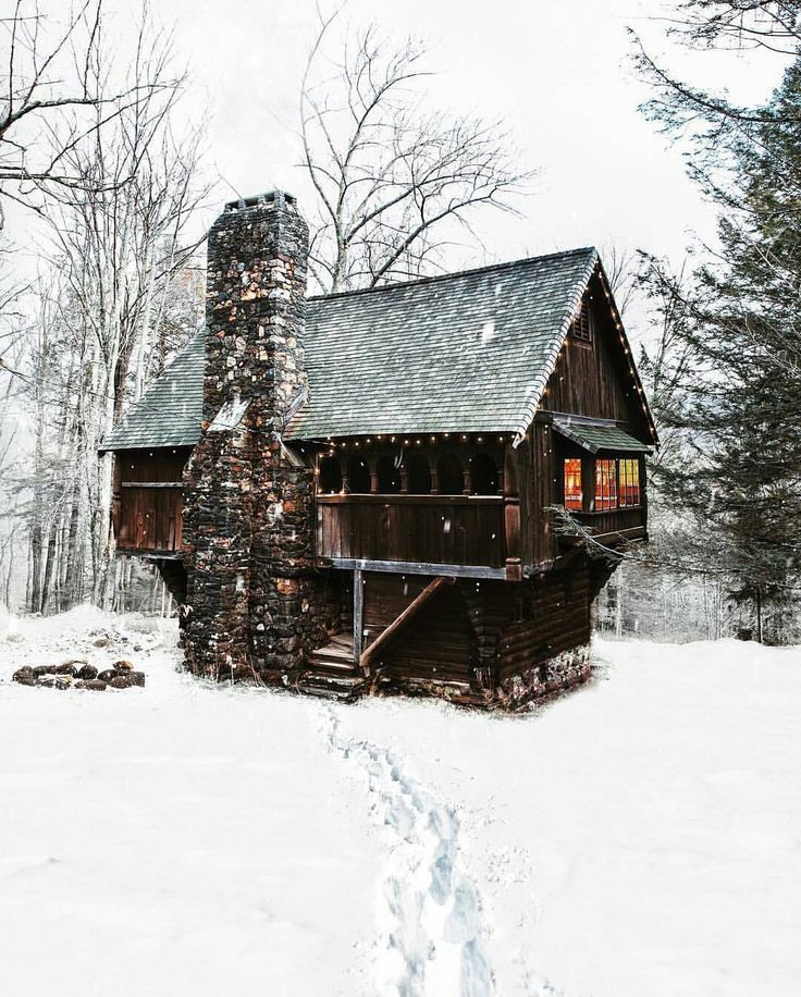 w–o–o–d–l–a–n–d:    ↟  find more pics by Woodland, wilderness and