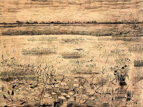 Vincent van Gogh（Dutch, 1853–1890）
Marsh with Water Lillies 1881
Ink on paper