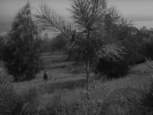 Ivan&rsquo;s Childhood (1962) - Andréi Tarkovsky