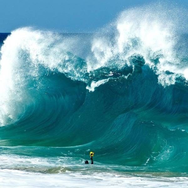 arnold-ziffel:Monday… always looming