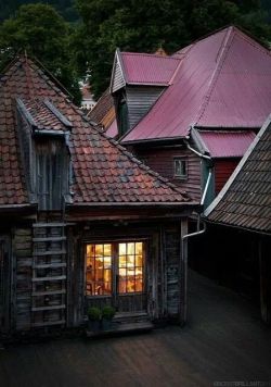 bonitavista:    Bergen, Norway   photo via naz 