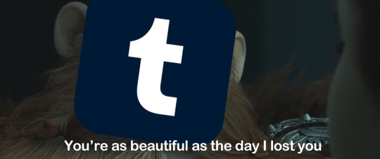 Tumblr media