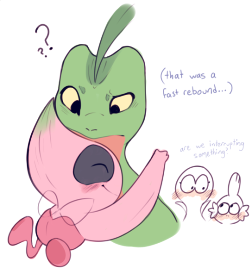 digitalsnail:so i finished the psmd sidequest where celebi pretends to faint so grovyle can rescue h