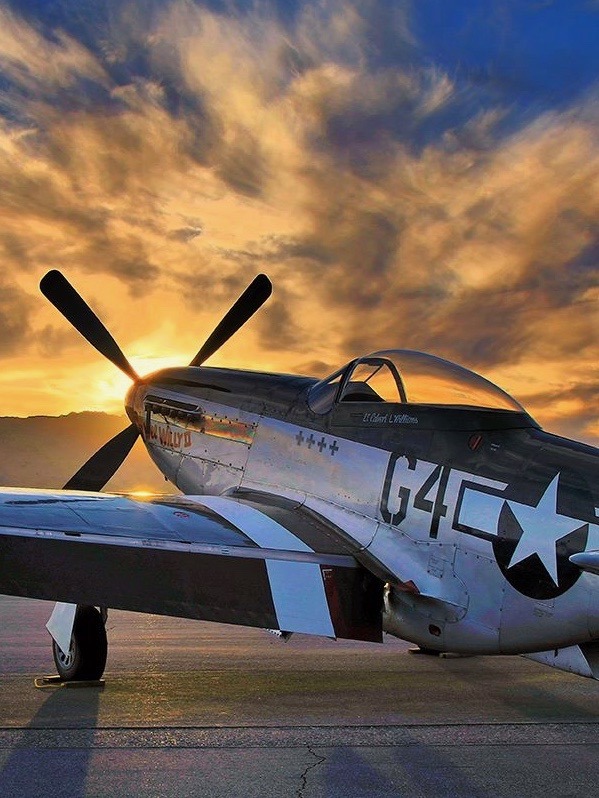 utwo: Mustang P51 © scott plummer 