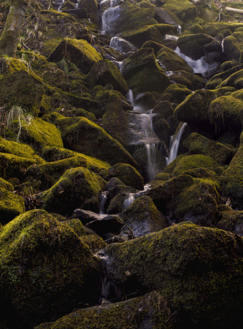 Padley Gorge by oli pickles