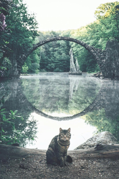 lsleofskye:The Guardian of the Rakotz portal