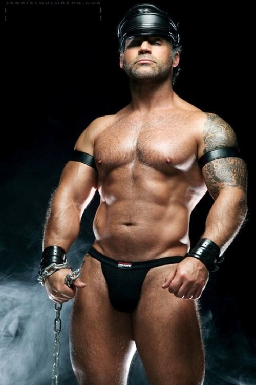 montydave:  Montedave: One please. BUT, will he arrive in time for Christmas?