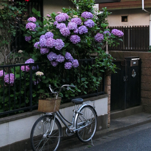 uroko:tokyo dreams | ©©©