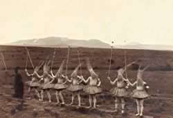 Dame-De-Pique:unknown Photographer - Amanguba Circumcision Dance In Natal [Now Kwazulu-Natal,