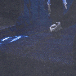  expecto patronum! 