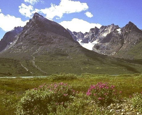 Qinngua Valley Between Tasermiut And The Prins Christian Sund Fjords In Southern Greenland