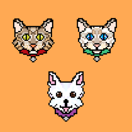 thebeanandbelashow: Bean, Riddle, and Bela in pixel form! (the same art that’s on our blog&rsq