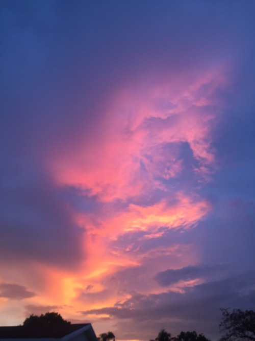 I Took This Photo In The Summer Of June 2022 