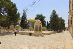 palestinianliberator:Dome of the Rock, Jerusalem,