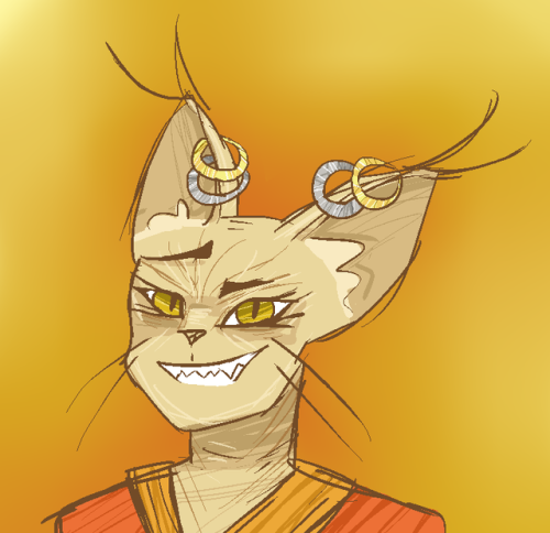 neonkyatt:my new khajiit oc based on my actual real life cat. her name is dodge and she has never to