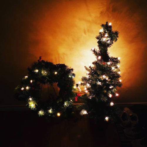 The Last Christmas Tree I Had Before My Dad Passed Away. And The Wreath I Got From His Funeral. The Time