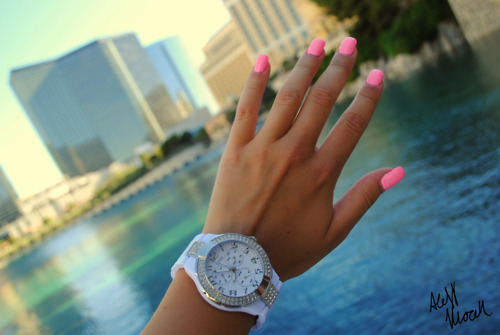 live-the-life01:  w-i-l-d—l-o-v-e:  ✖ http://w-i-l-d—l-o-v-e.tumblr.com/ ✖  