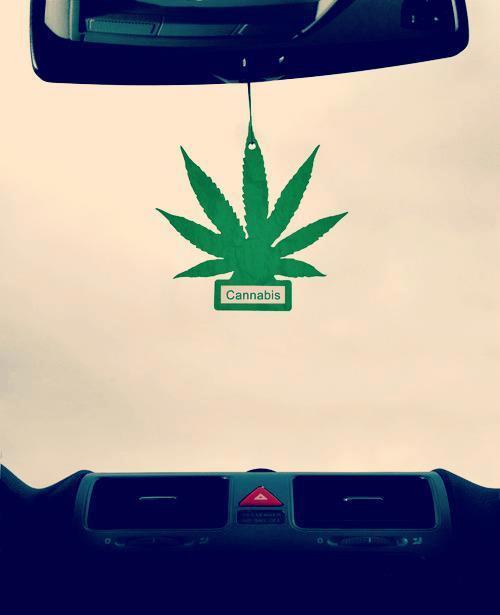 weshouldsmokeaboutit:    
