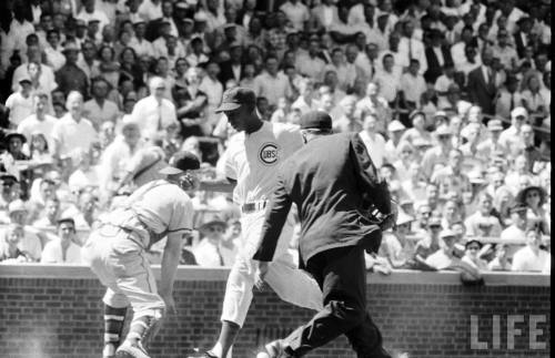 Ernie Banks(John Dominis. 1955)