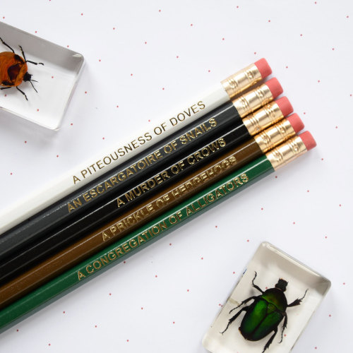 unimaa: sosuperawesome: Pencil Sets by Newton And The Apple on Etsy More like this These are amazing