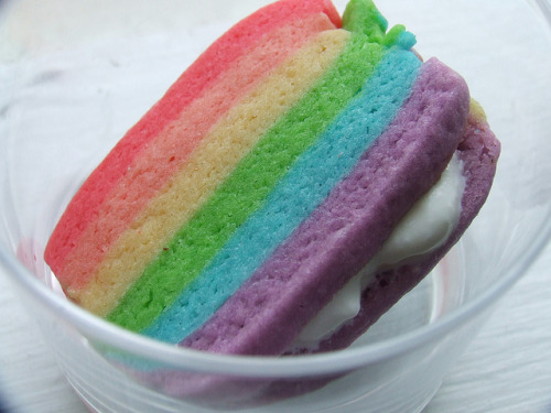 everybody-loves-to-eat:  Rainbow cookie ice cream sandwiches by Andrea_R on Flickr.