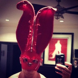 Here’s the “Prada Rabbit”