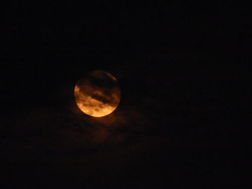 fuckyeahphysica:  Supermoon Lunar Eclipse - 7 hours to go! I decided to snap a few pictures of the moon before the big event and it was Glorious! Don’t miss out on the Supermoon Lunar Eclipse, only 7 hours to go :) 