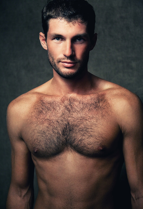 For the Love of Fur!