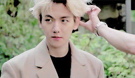 baekdumbb:  countdown to your day | D - 10  →  For some reason seeing you makes everything feel bett