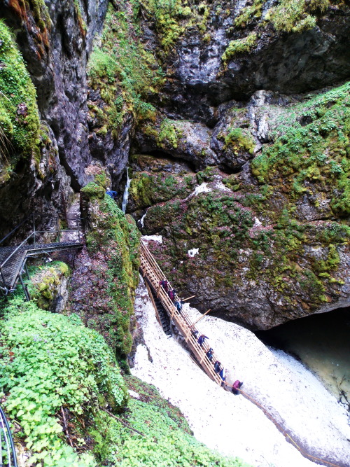 Scărișoara Ice Cave, Apuseni Mountains / Romania.