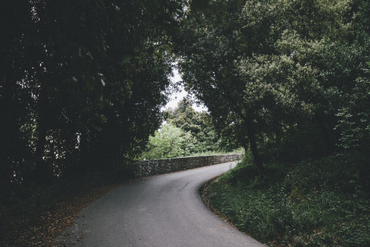 elenamorelli:  { the road to the nearest hill } 