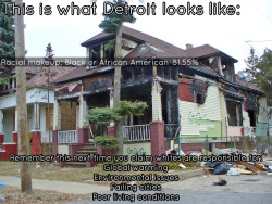 nhousewife:  This is what majority black cities look like. Majority-black cities all have a few things in common. One of those things is the presence of litter all over the roads, the parks, and even private lawns. The houses are falling down. Plastics