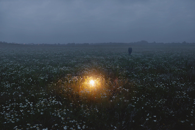 melisica:  (by marcus mb)