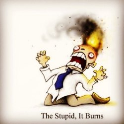 #Burns #Thestupid