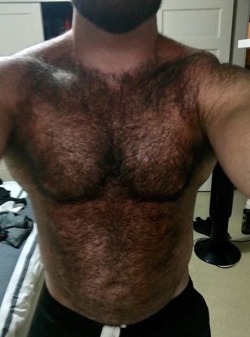 Musclebears & Co.