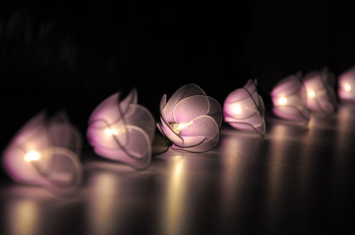 culturenlifestyle:Delicate Flower String LightsThailand-based shop Leelavadeelights creates handmade