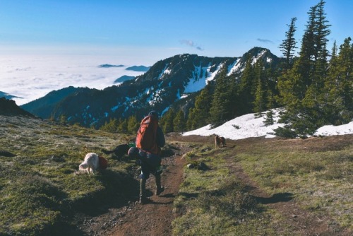 Backpacking above the clouds