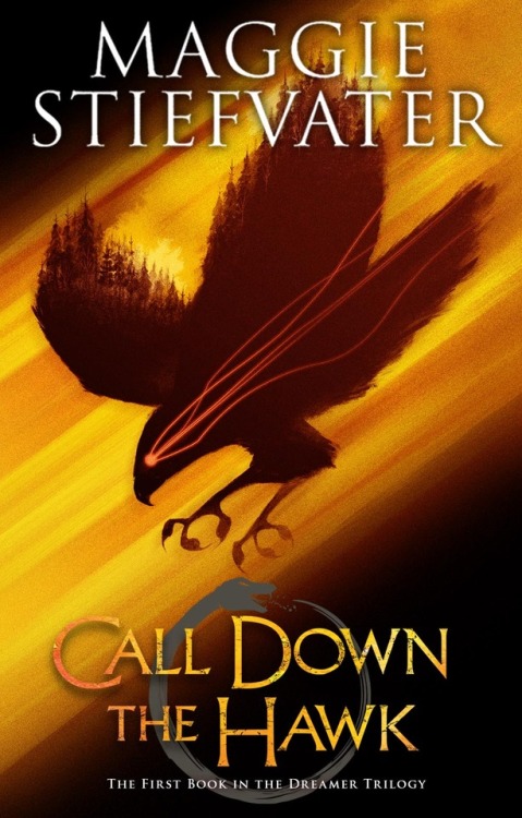 maggie-stiefvater: OK! Here are all the details of CALL DOWN THE HAWK as of now, February!• It 