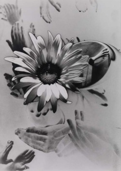 sodisnanee:  Max Dupain